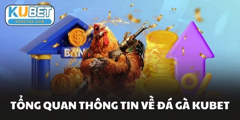 Tổng quan thông tin về Đá Gà KUBET